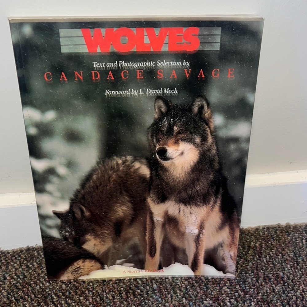 Vintage 80’s pictures wolf wolves picture essay Book photographic